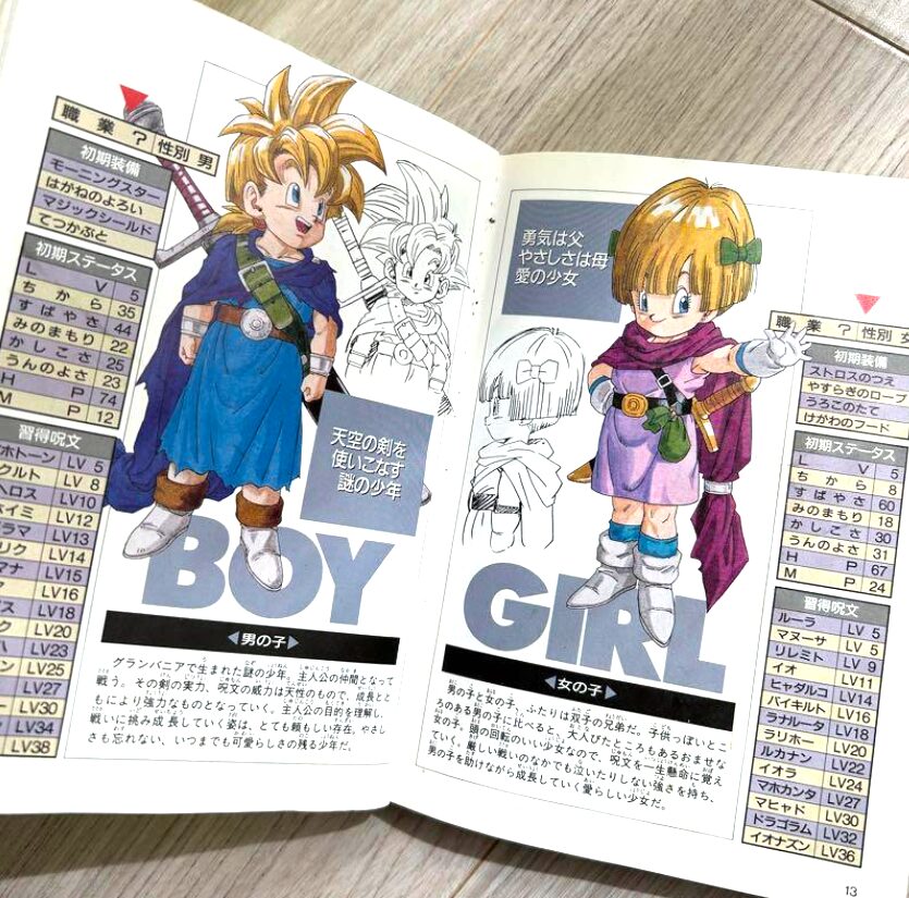 ドラゴンクエスト5 カードセット 31枚（ドラクエ5】タバサを本気で研究 